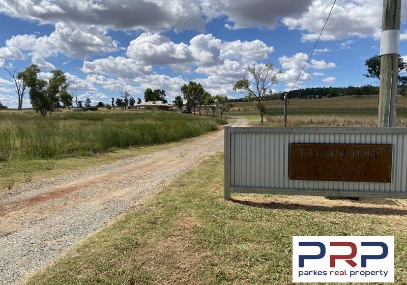 L29325884-PARKES-1